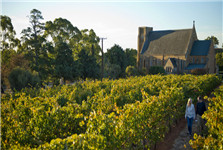 探寻知名葡萄酒庄 尽享南澳美酒之旅